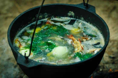 Fish soup